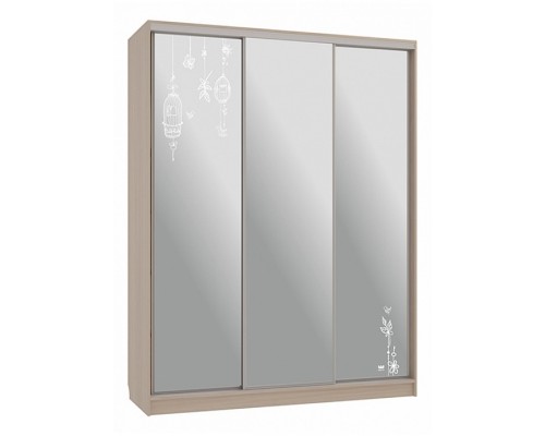 Шкаф-купе Бассо 4-600 птицы