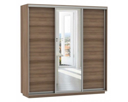 Шкаф-купе Экспресс Медиум (1 зеркало) Трио 2100x600x2200