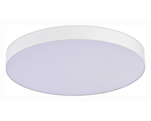 Накладной светильник ST-Luce ST606 