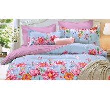 Постельное белье евростандарт Provance Laghet