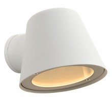 Светильник на штанге Lucide Dingo LED 14881/05/31