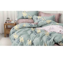 Постельное белье двуспальное Pure Cotton 192-PC