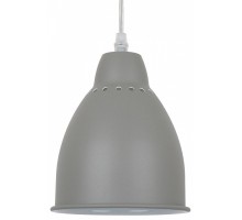 Подвесной светильник Arte Lamp Braccio A2054SP-1GY