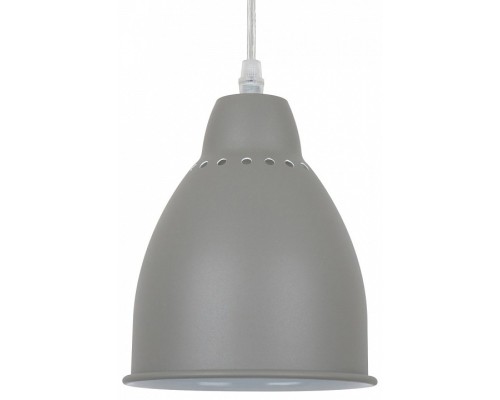 Подвесной светильник Arte Lamp Braccio A2054SP-1GY