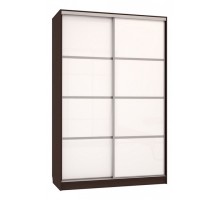 Шкаф-купе Рио 2