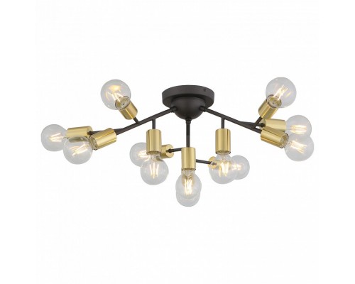 Потолочная люстра ST-Luce Foglione