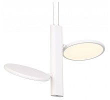 Подвесной светильник Lussole Aberdeen 