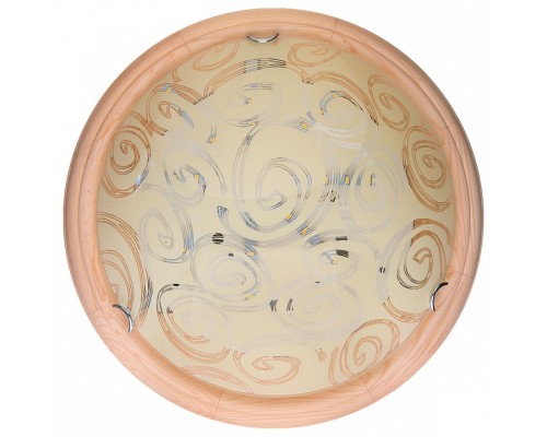 Накладной светильник TopLight Flora TL9600Y-00PN