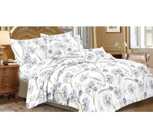 Постельное белье полутораспальное Art Color Вивальди