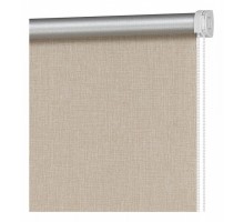 Штора рулонная (50x160 см) Блэкаут Фелиса