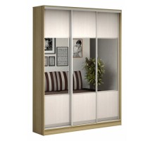 Шкаф-купе Антонио-3.1 2200x496x2400 мм