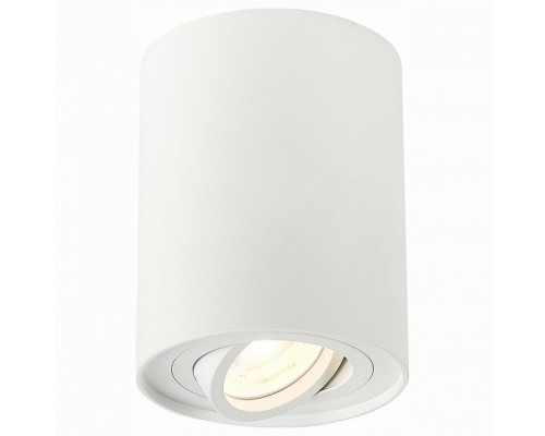 Спот ST-Luce Torus