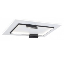 Накладной светильник Ambrella FL FL51456