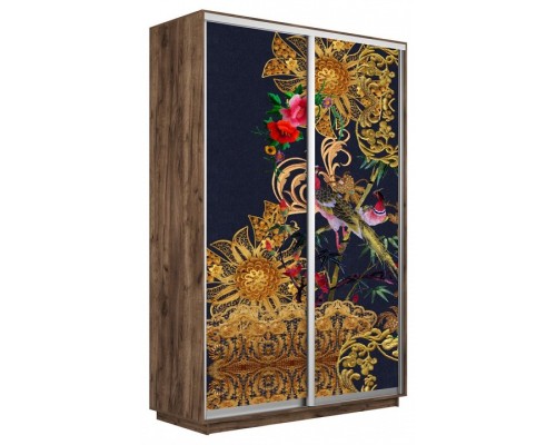 Шкаф-купе Экспресс Фото дуо 1013 1200x450x2400