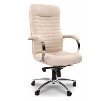 Кресло компьютерное Chairman 480 бежевый/хром, черный