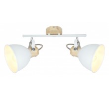 Спот Globo Wiho 54018-2