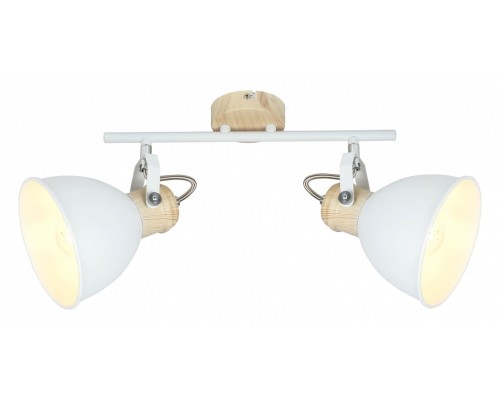 Спот Globo Wiho 54018-2