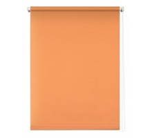 Штора рулонная (50x175 см) Плайн