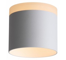 Накладной светильник ST-Luce Panaggio 