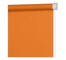 Штора рулонная (70x160 см) Апилера