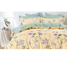 Постельное белье евростандарт RS
