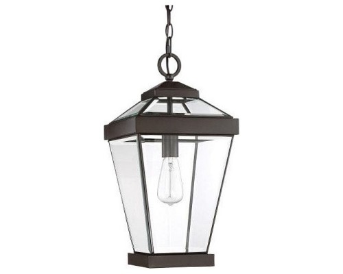 Подвесной светильник Quoizel Ravine QZ/RAVINE8/L