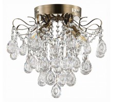 Потолочная люстра EVOLUCE Kame SLE160102-04