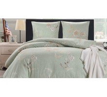 Постельное белье евростандарт CL-321