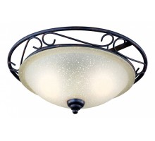 Накладной светильник Globo Rustica II 4413-2