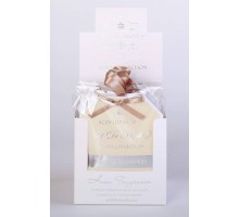 Саше Orange Cinnamon Ар-с-15