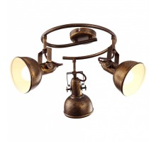 Спот Arte Lamp Martin A5215PL-3BR