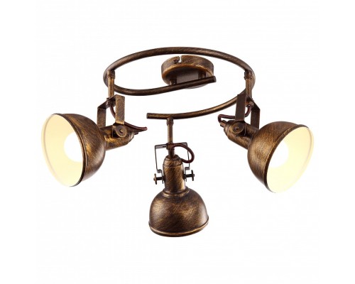 Спот Arte Lamp Martin A5215PL-3BR
