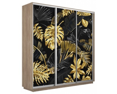 Шкаф-купе Экспресс Фото трио 1003 1800x450x2200