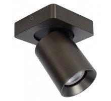 Спот Lucide Nigel 09929/05/16