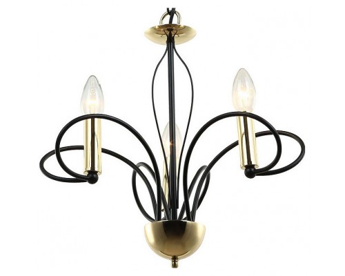 Подвесная люстра Lussole Powell