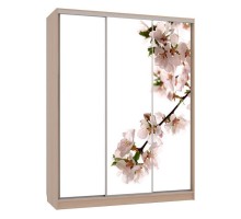 Шкаф-купе Бассо 7-600 яблоня