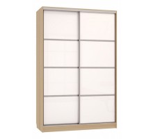 Шкаф-купе Рио 2