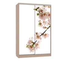 Шкаф-купе Гранд 7-600 яблоня