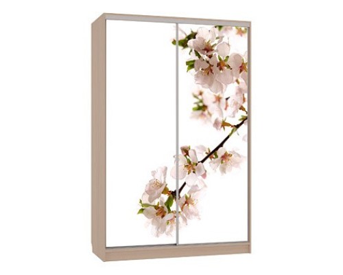 Шкаф-купе Гранд 7-600 яблоня