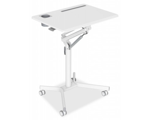 Подставка для ноутбука CS-FDS101WWT