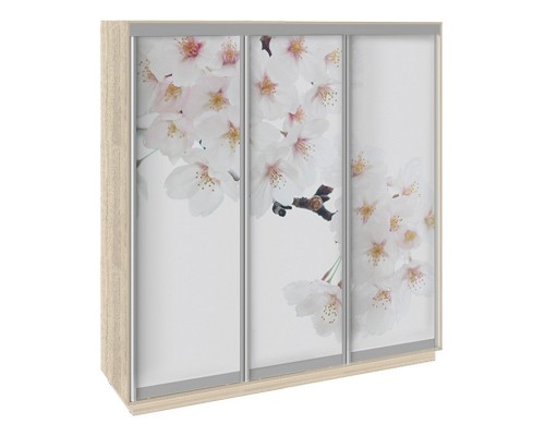 Шкаф-купе Румер СШК 1.210.70-35