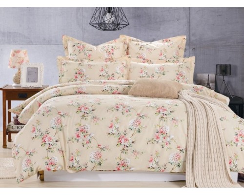 Постельное белье евростандарт C-192