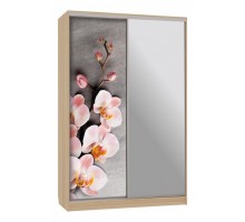 Шкаф-купе Рио 9-600 78