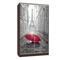 Шкаф-купе Рио 7-600