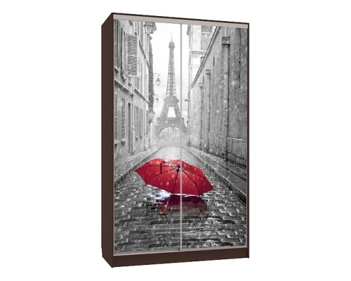 Шкаф-купе Рио 7-600