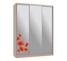 Шкаф-купе Бассо 4-600 маки