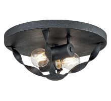 Накладной светильник Quoizel Bradbury QZ-BRADBURY-F-GK