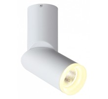 Светильник на штанге ST-Luce Tortelle 