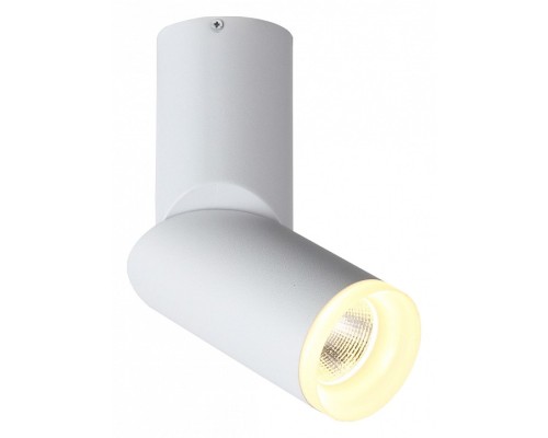 Светильник на штанге ST-Luce Tortelle