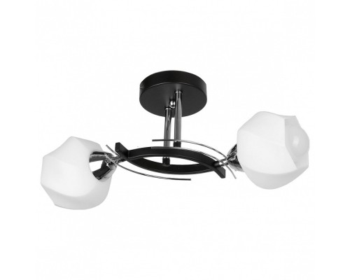 Светильник на штанге TopLight Lia TL7380X-02BC